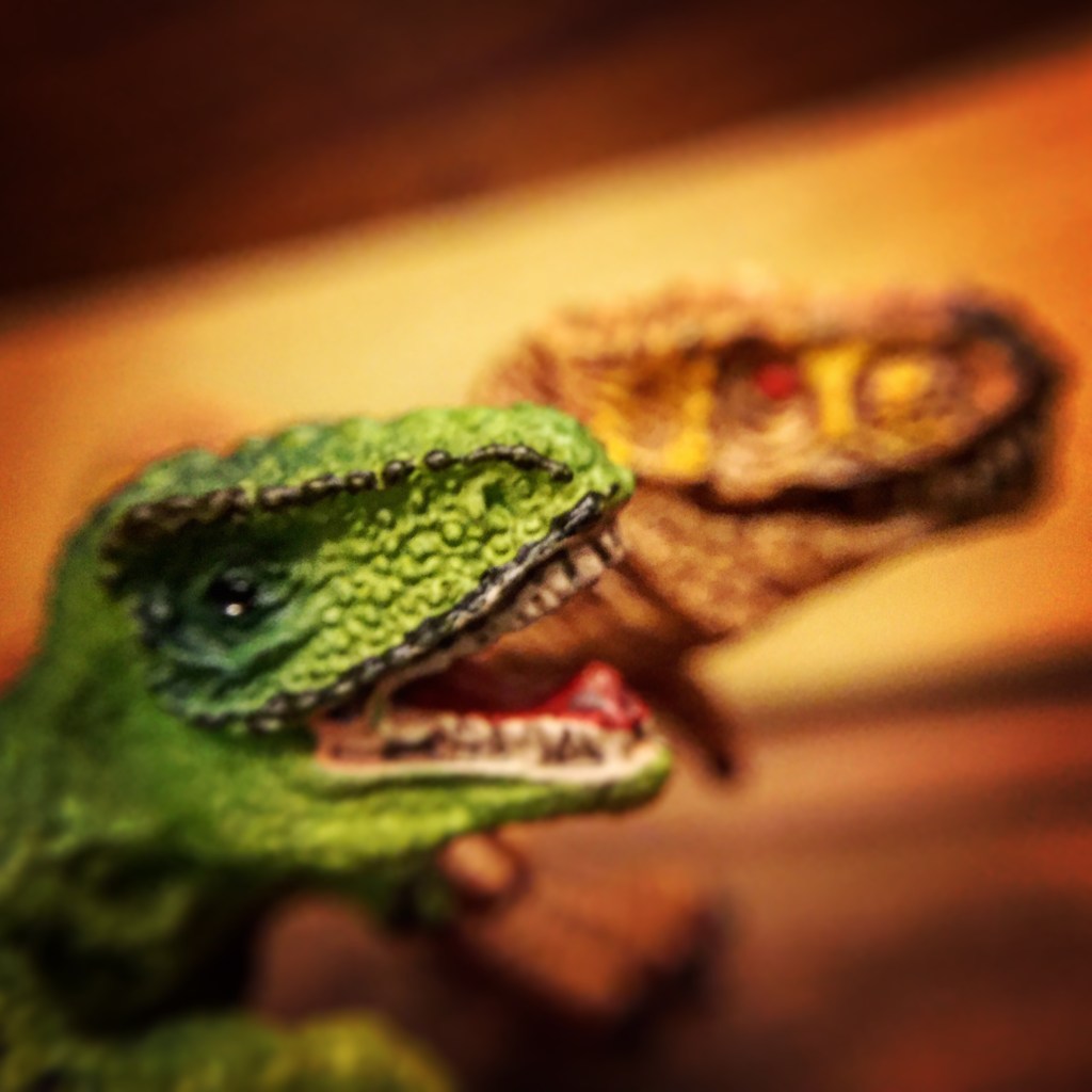 This image has an empty alt attribute; its file name is tss-007.jpg