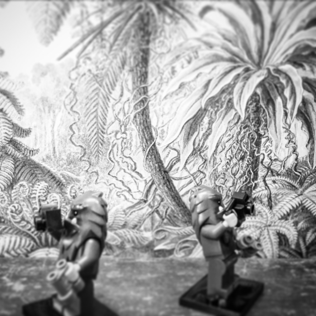 This image has an empty alt attribute; its file name is tss-024.jpg